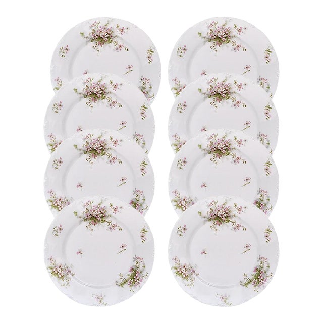 Limoges Schleiger 146a TheodoreHaviland Fine French Porcelain Salad Plates - Set of 8 For Sale