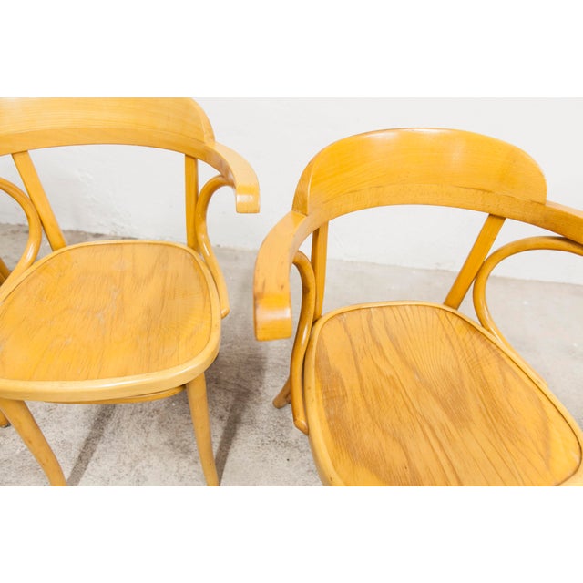 Bistro Armchairs, 1960s, Set of 4 For Sale - Image 12 of 18