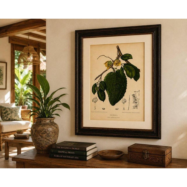 Gold Hoola van Nooten, Soursop Botanical, 1880, Chromolithograph For Sale - Image 8 of 9