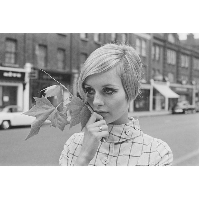 Twiggy in London English model, actress, and singer Twiggy holds a maple leaf while standing in the middle of King's Road...
