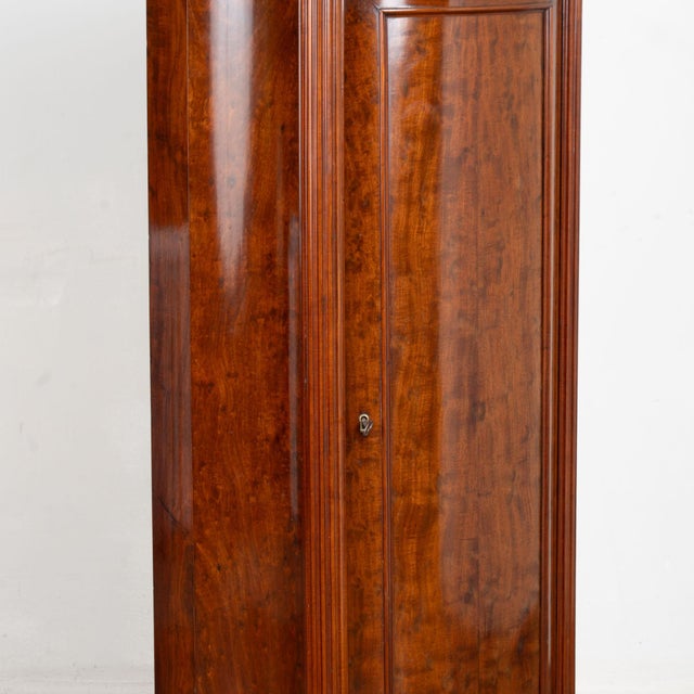 19th Century Danish Mahogany Narrow Column Cabinet For Sale - Image 9 of 11