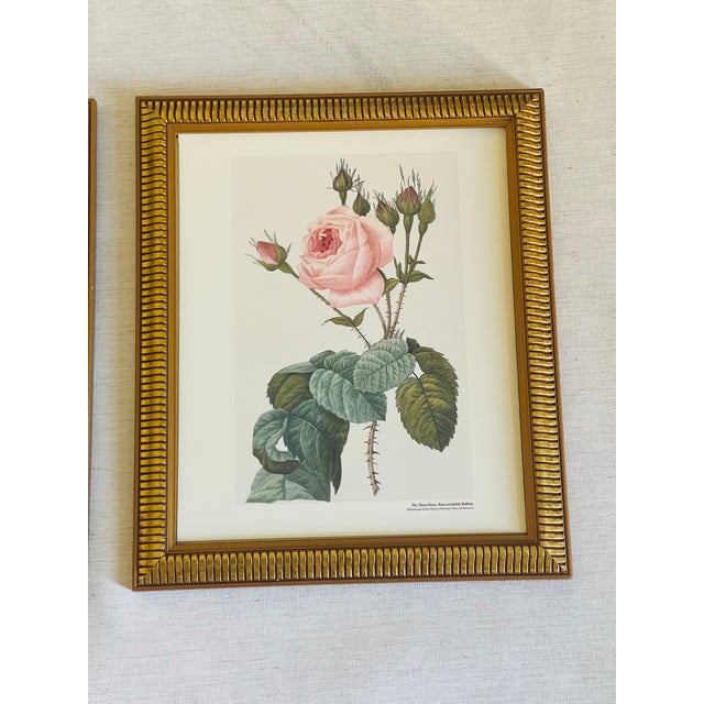 1960s Great Pair of P.J.Redoute Chromolithographs of Roses in Gold Frames Reproduction For Sale In Miami - Image 6 of 6