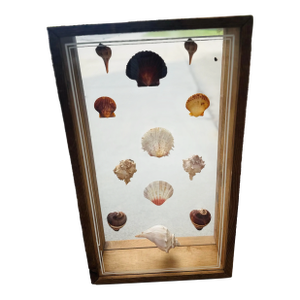 Handmade Vintage Shell Art Shadow Box