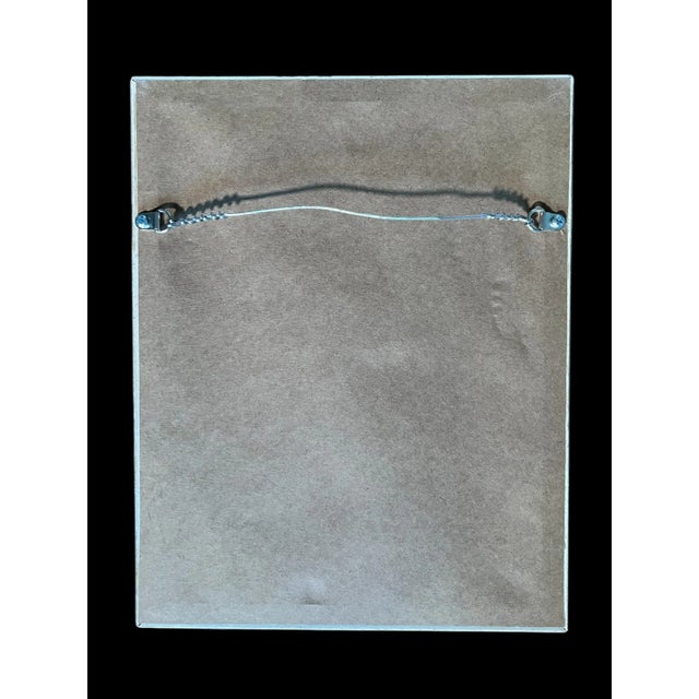 1895 Framed Antique Herbariums, Set of 20 For Sale - Image 12 of 12