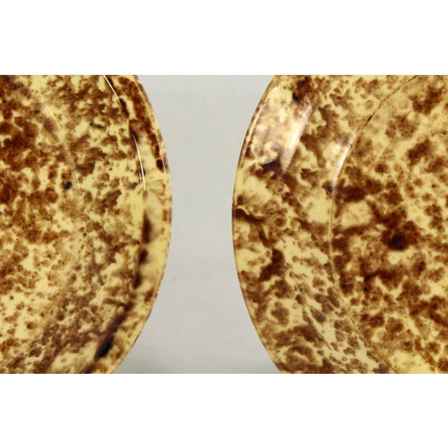 19th Century Pair of Rockingham Glaze Spatterware Yellowware Pottery Plates For Sale - Image 16 of 17