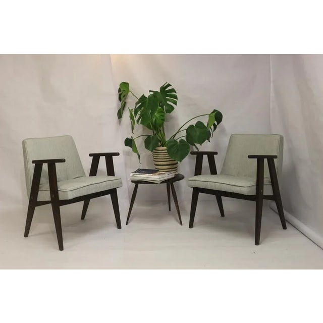 Set of Type 300-177 Bunny Armchairs in Mottled Gray Fabric by Józef Chierowski for Gościcińskie Fabryki Mebli, 1960s For Sale - Image 6 of 16