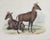 Pair of circa 1850's hand colored engravings on paper of large antelopes. Gnu and Nylghau in the Gardens of the Zoological...