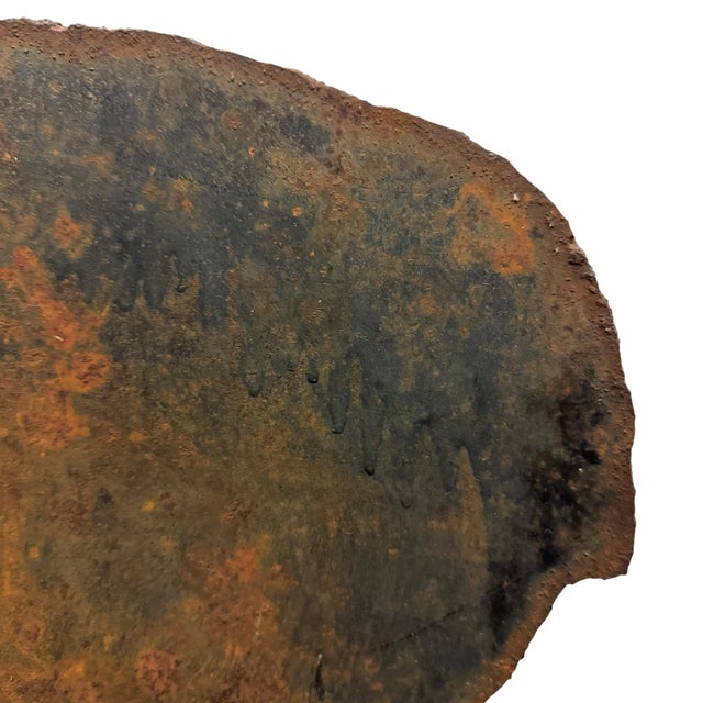 20th Century Italian Wild Boar Hunting Target For Sale - Image 12 of 12