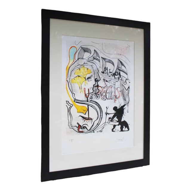 S. Dali, Angel of Dada, 1971, Lithograph, Framed For Sale - Image 9 of 9