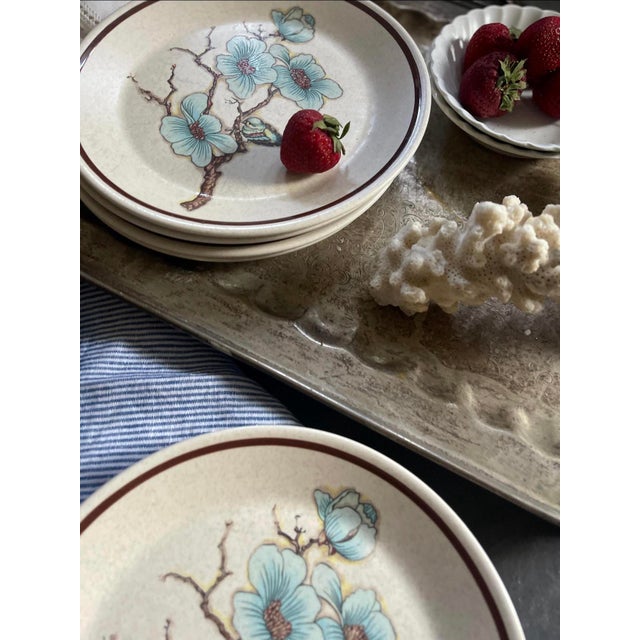 Mid 20th Century Softwind Stoneware by Temperware - A Wedgwood Company - 8” Plates - Set of Seven (7) For Sale - Image 9 of 10