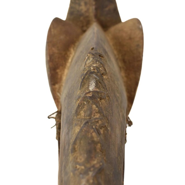 African Early 20th Century Dan Guerre Guere Bird Mask Cote d'Ivoire For Sale - Image 3 of 9
