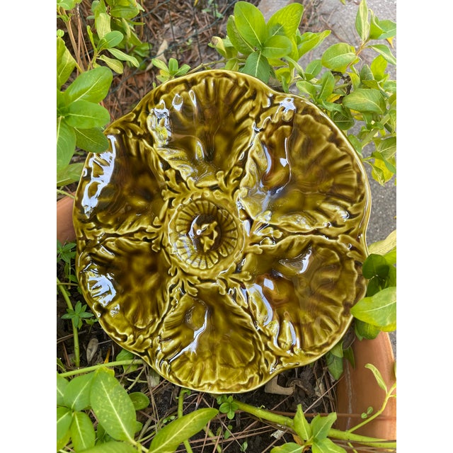 1950s French Gien Majolica Olive Green Oyster Plate For Sale - Image 13 of 13