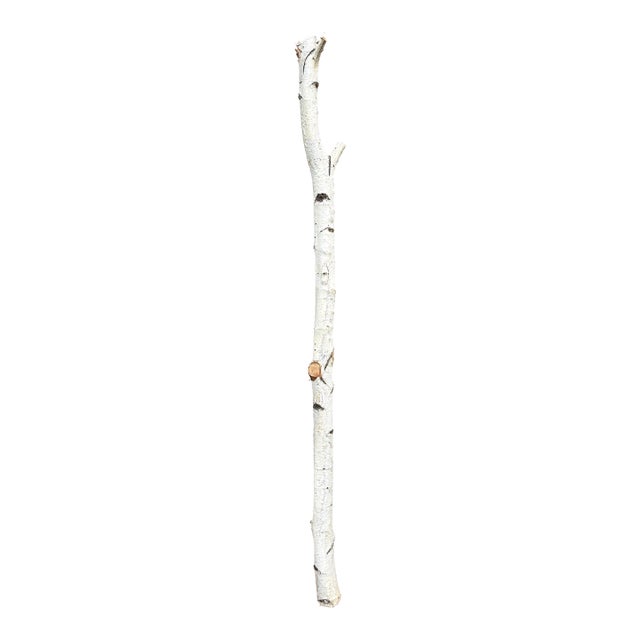 Birchwood Branch Piece for Decoration, Style B For Sale