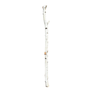 Birchwood Branch Piece for Decoration, Style B