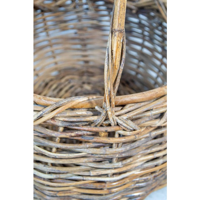 Large Antique French Provincial Grape Harvest Wicker Basket With Single Handle For Sale - Image 12 of 13