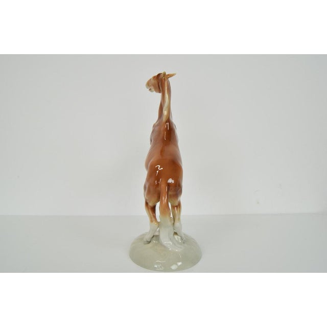 Brown Porcelain Prancing Horse from Royal Dux, 1940s For Sale - Image 8 of 14
