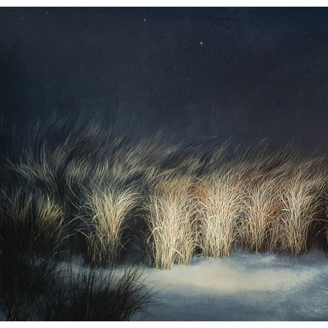 Author: Maija Muizniece, Velvet coastal darkness, oil on canvas, size: 60 x 70 cm, year of 2024