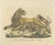 Karl Joseph Brodtmann, Lioness with Cubs, 1816, Lithograph For Sale