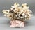 Shell Folk Art Coral & Shell Flower Arrangement – Coastal Decor With Swirled Composite Base For Sale - Image 7 of 15
