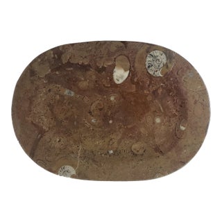 Oval Fossil Plate Dish For Sale