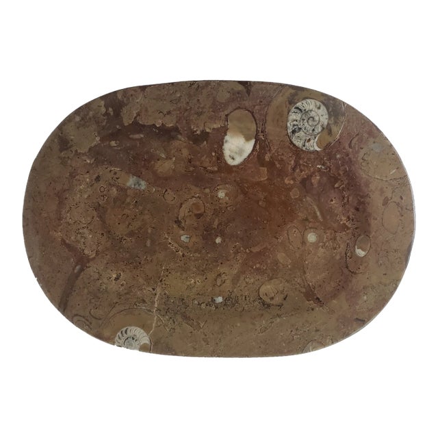 Oval Fossil Plate Dish For Sale