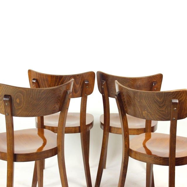 Dining Chairs in Walnut from Tatra, Former Czechoslovakia 1950s, Set of 4 For Sale - Image 4 of 17