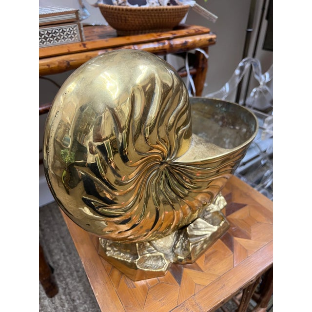 Brass 1980s Solid Brass Nautilus Shell For Sale - Image 8 of 9