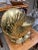 Brass 1980s Solid Brass Nautilus Shell For Sale - Image 8 of 9