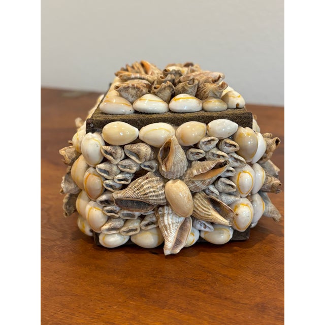 Vintage Palm Beach Style Rectangular Encrusted Shell Box in Neutral Palette For Sale - Image 14 of 18