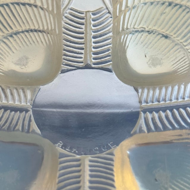 1920s 1920s Lalique Opalescent Coquille Hanging Pendant For Sale - Image 5 of 6
