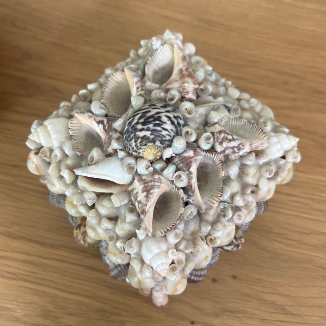Vintage Mid Century Shell Encrusted Box For Sale - Image 4 of 7