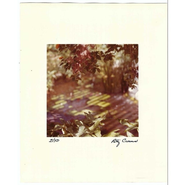 Realism 1970s Pasty Cravens Color Photograph For Sale - Image 3 of 3