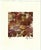 Realism 1970s Pasty Cravens Color Photograph For Sale - Image 3 of 3