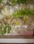 Make a vibrant, architectural statement with this monumental 28-inch original Southwest desert landscape oil painting by...