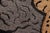 Textile Contemporary Baby Leopard Animal Design Area Rug For Sale - Image 7 of 13