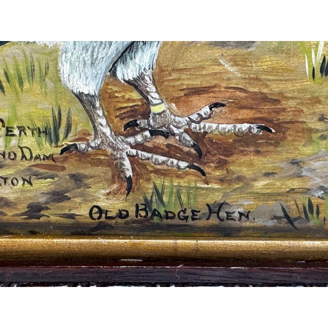 Circa 1930 British Folk Art Champion Racing Pigeons Oil Painting For Sale - Image 12 of 18