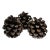 Collection of Three Pine Cones For Sale