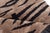 Modern Tiger Rug by Doris Leslie Blau For Sale - Image 4 of 5