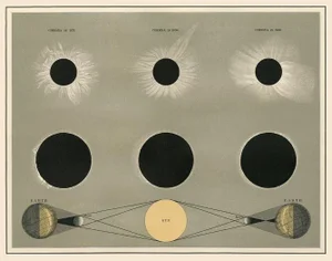 Antique Astronomy Print of the Corona Eclipse