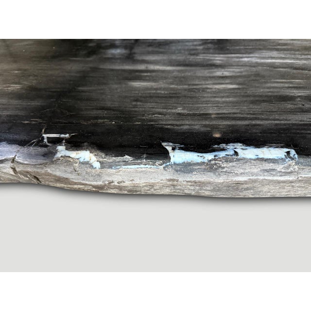 Contemporary Andrianna Shamaris Exquisite High Quality Petrified Wood Dining Table Or Console For Sale - Image 3 of 18