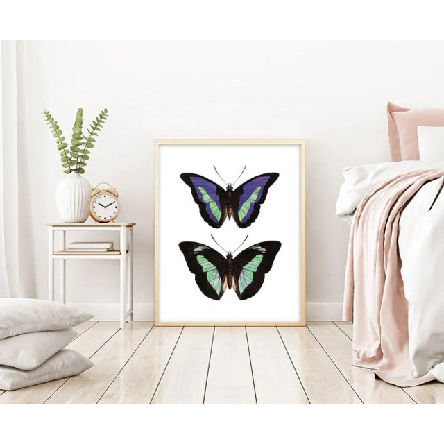 This victorian butterfly specimen has been remastered into this gorgeous piece that fits in both Traditional and Modern...