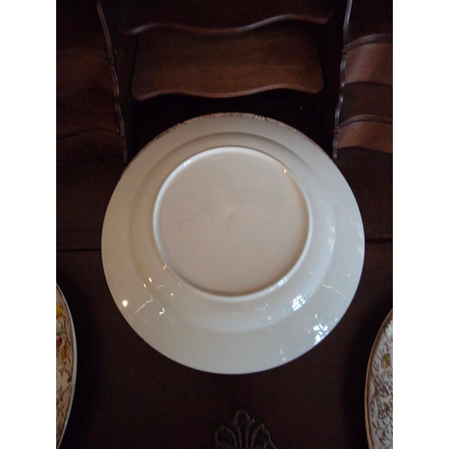 1950s Vintage Turkey Dinner Plates - 4 pcs For Sale - Image 5 of 8