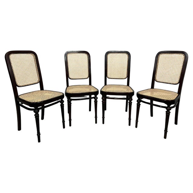Bentwood Dining Room Chairs from Thonet, 1890s, Set of 4 For Sale - Image 14 of 14