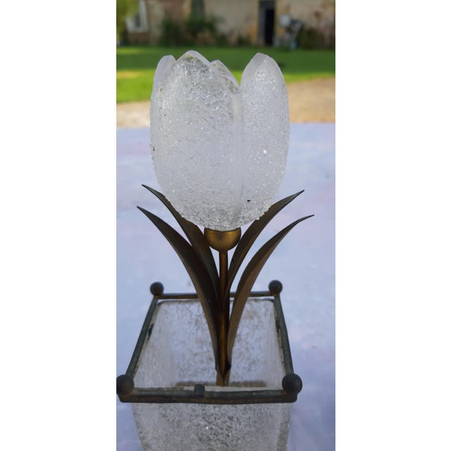 Decorative Elements in Frosted Glass and Brass, 1900, Set of 2 For Sale - Image 13 of 17
