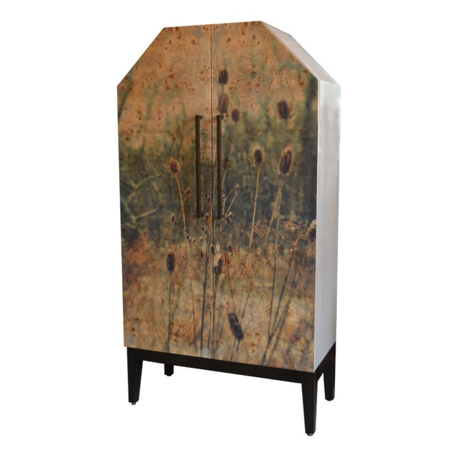 Holden Photo Print 2-Door Armoire For Sale