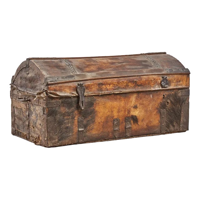 Trunk with Wild Boar Leather For Sale