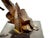Bronze 1950s Frank Eliscu Bronze of a Jumping Horse For Sale - Image 8 of 17