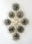 Italian 21st Century Hive Satin Brass Smoky Bubbles Murano Flush Mount by Fabio LTD For Sale - Image 3 of 9