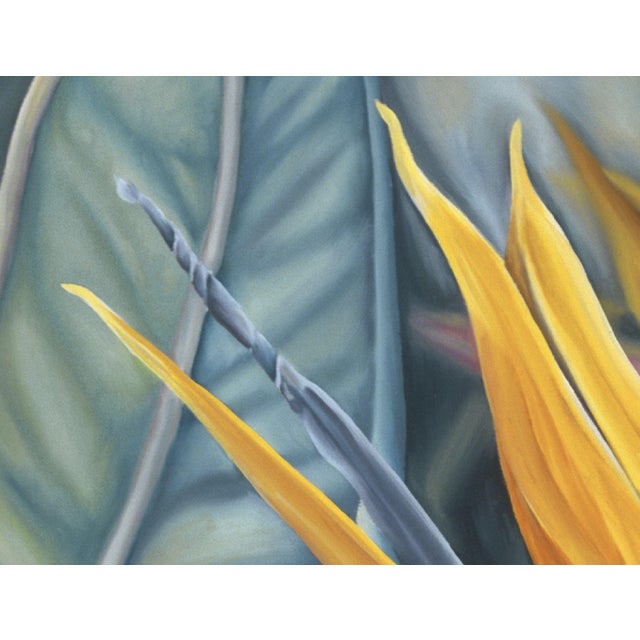 Realism 2000s "Bird of Paradise" Large Gallery Wrapped Oil Painting by Judith Moore For Sale - Image 3 of 10