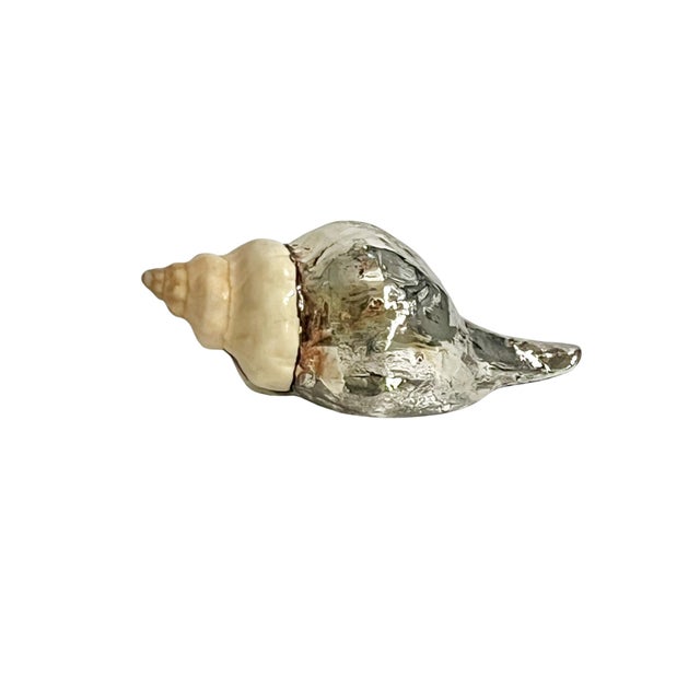 Vintage Partially Silvered Conch Shell in the Style of Bucellati For Sale - Image 12 of 15